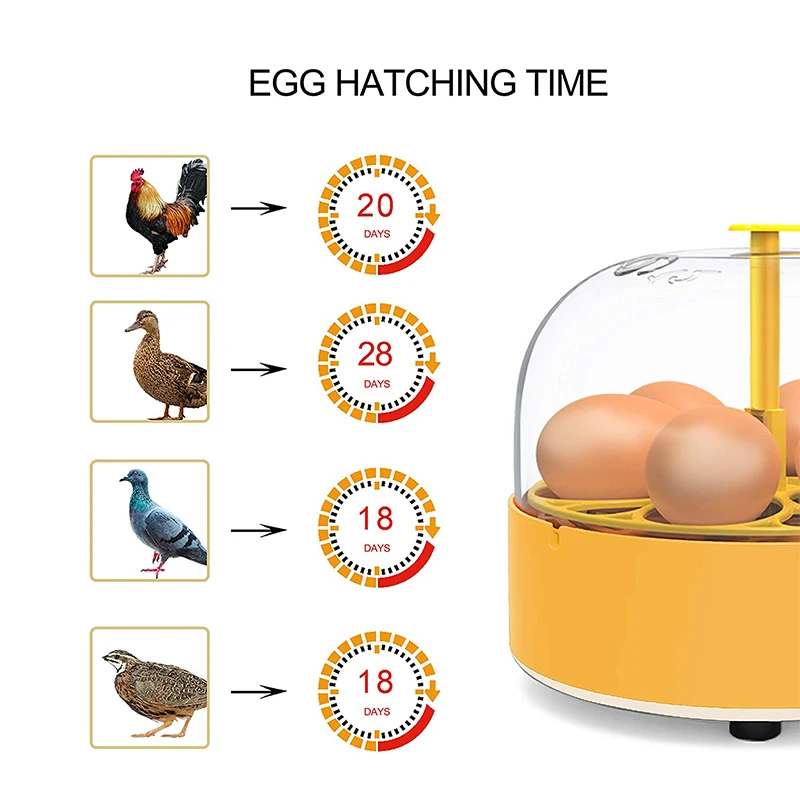Breeding Incubator Chicken Duc - Lab Incubator 评论和价格