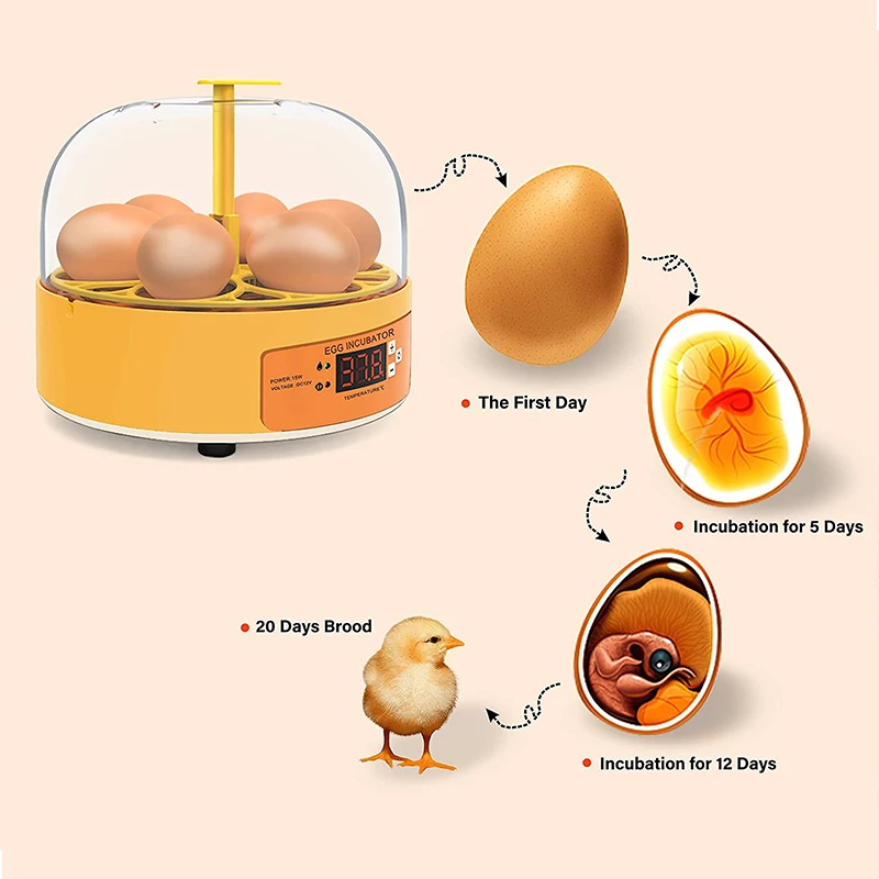 Breeding Incubator Chicken Duc - Lab Incubator 评论和价格