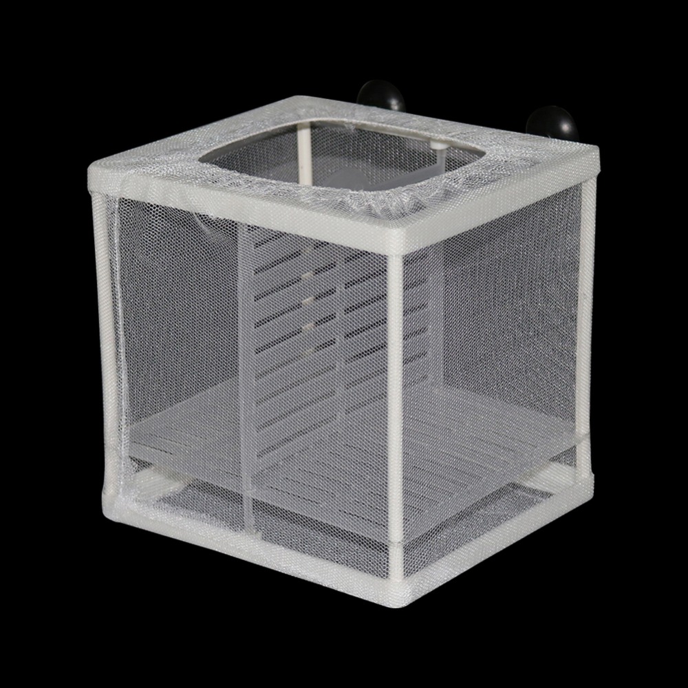 1 Pcs Fish Breeding Incubator  - Lab Incubator 评论和价格